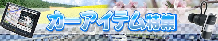 �J�[�A�C�e�����W